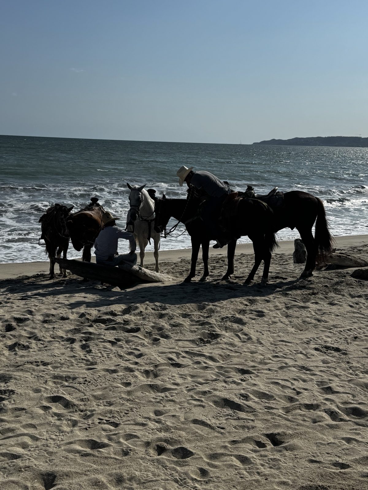 Horses resting on the beach at Bucerías