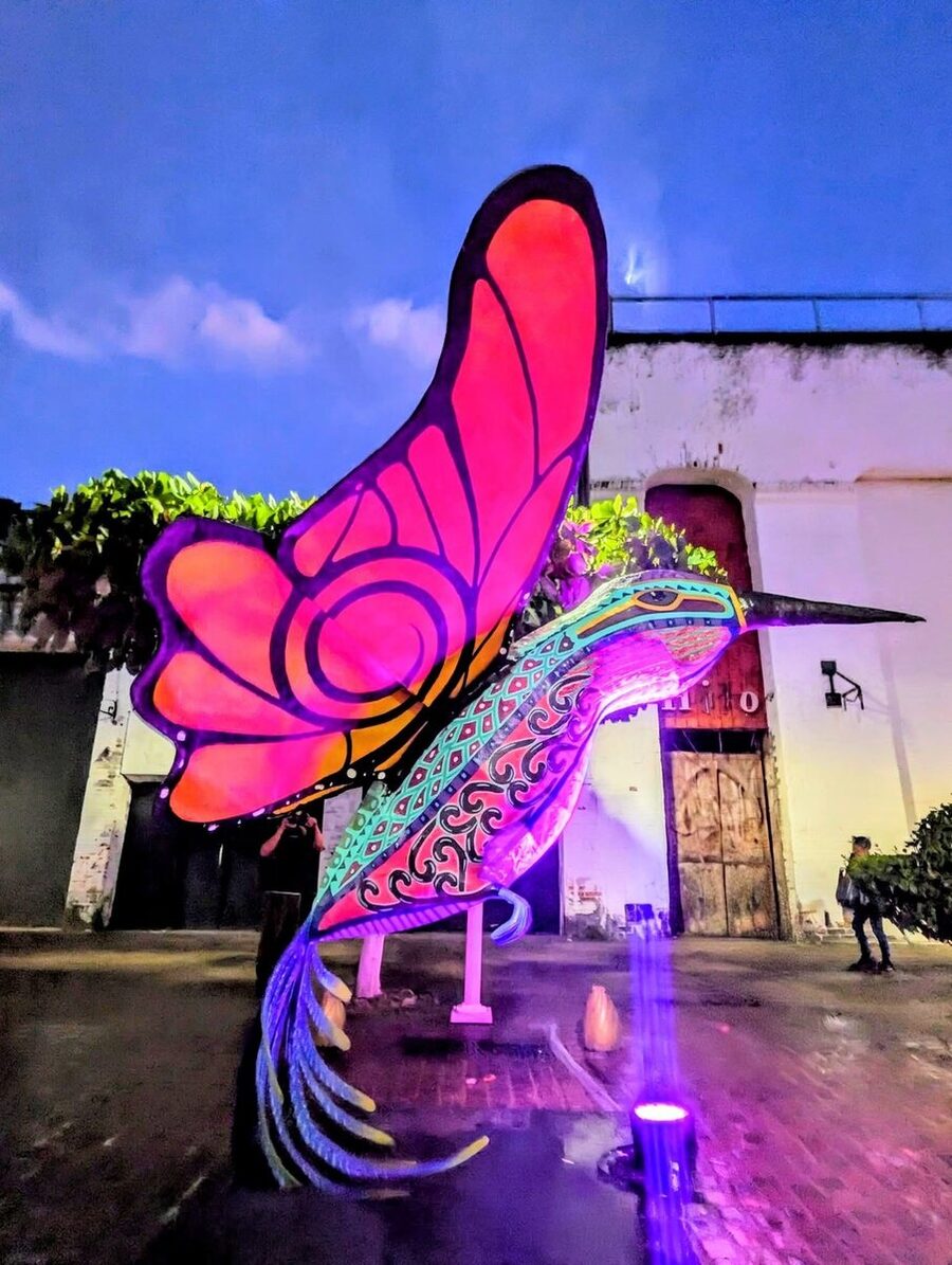 A lit alebrije butterfly glowing pink and purple in a Centro street at dusk