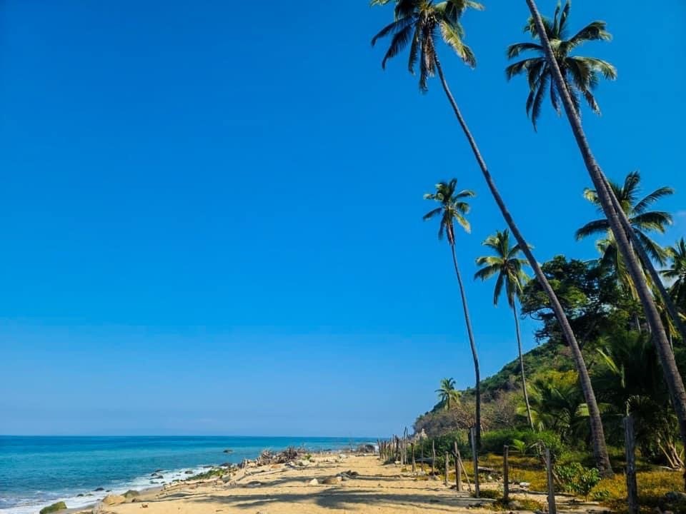 Palm trees and a sunny beach on the Puerto Vallarta coast