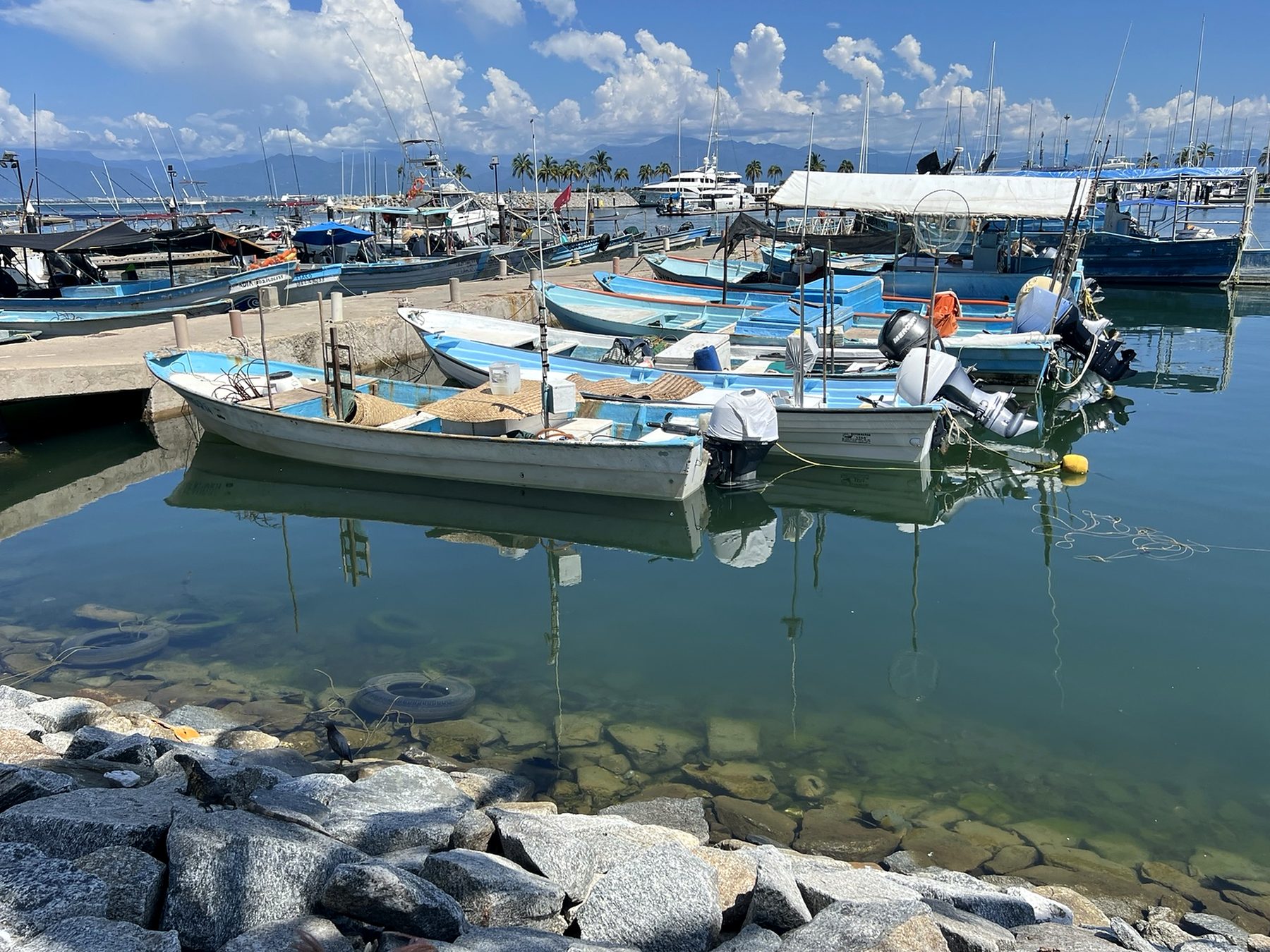 Fishing pangas tied up in the harbor at La Cruz de Huanacaxtle with the bay and mountains behind