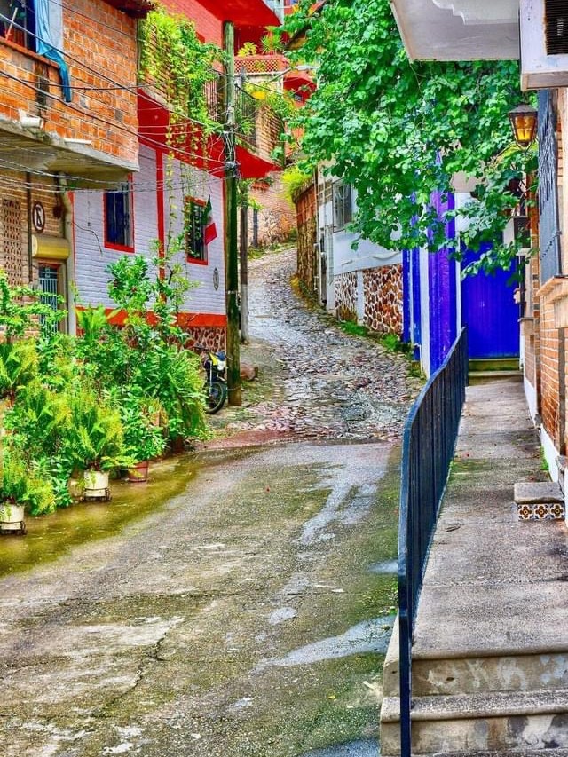 A cobblestone lane climbing between brick and painted houses in Zona Romántica