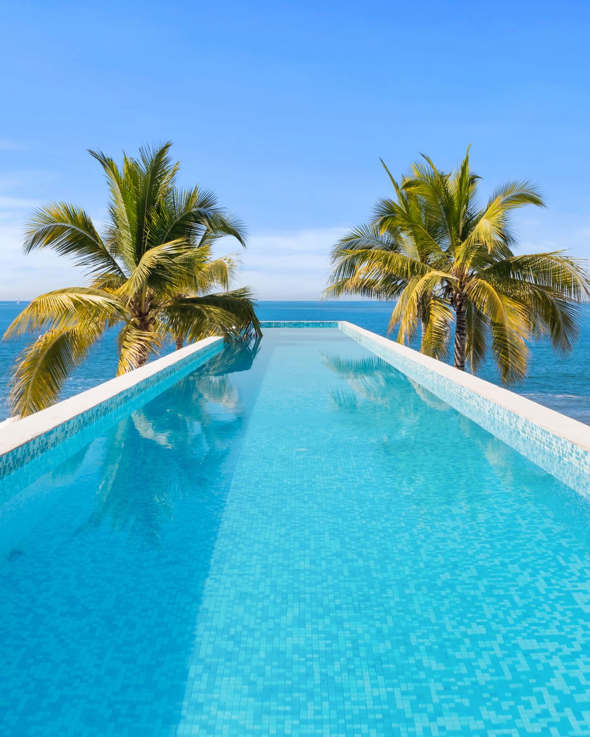 A long infinity pool between two palms looking out to the ocean at Harbor 171