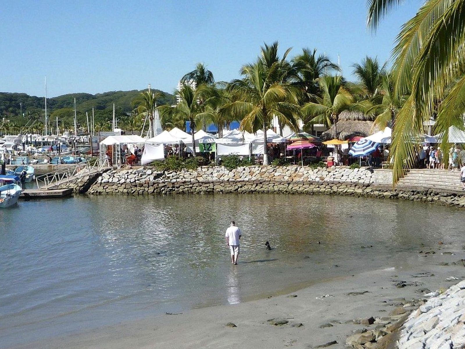 The market tents along the waterfront at La Cruz seen across a small sandy cove, with palms and the marina behind