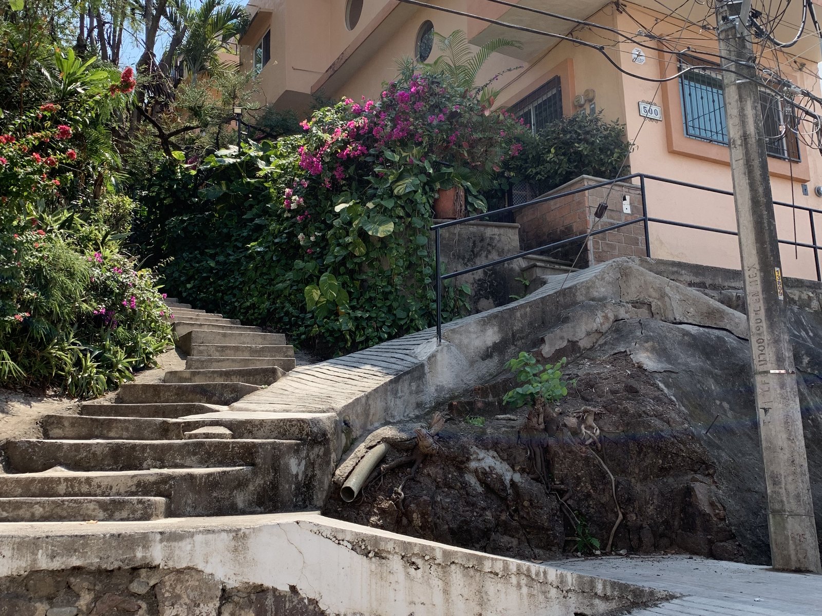 A long concrete stairway climbing a hillside in Puerto Vallarta between bougainvillea and orange houses