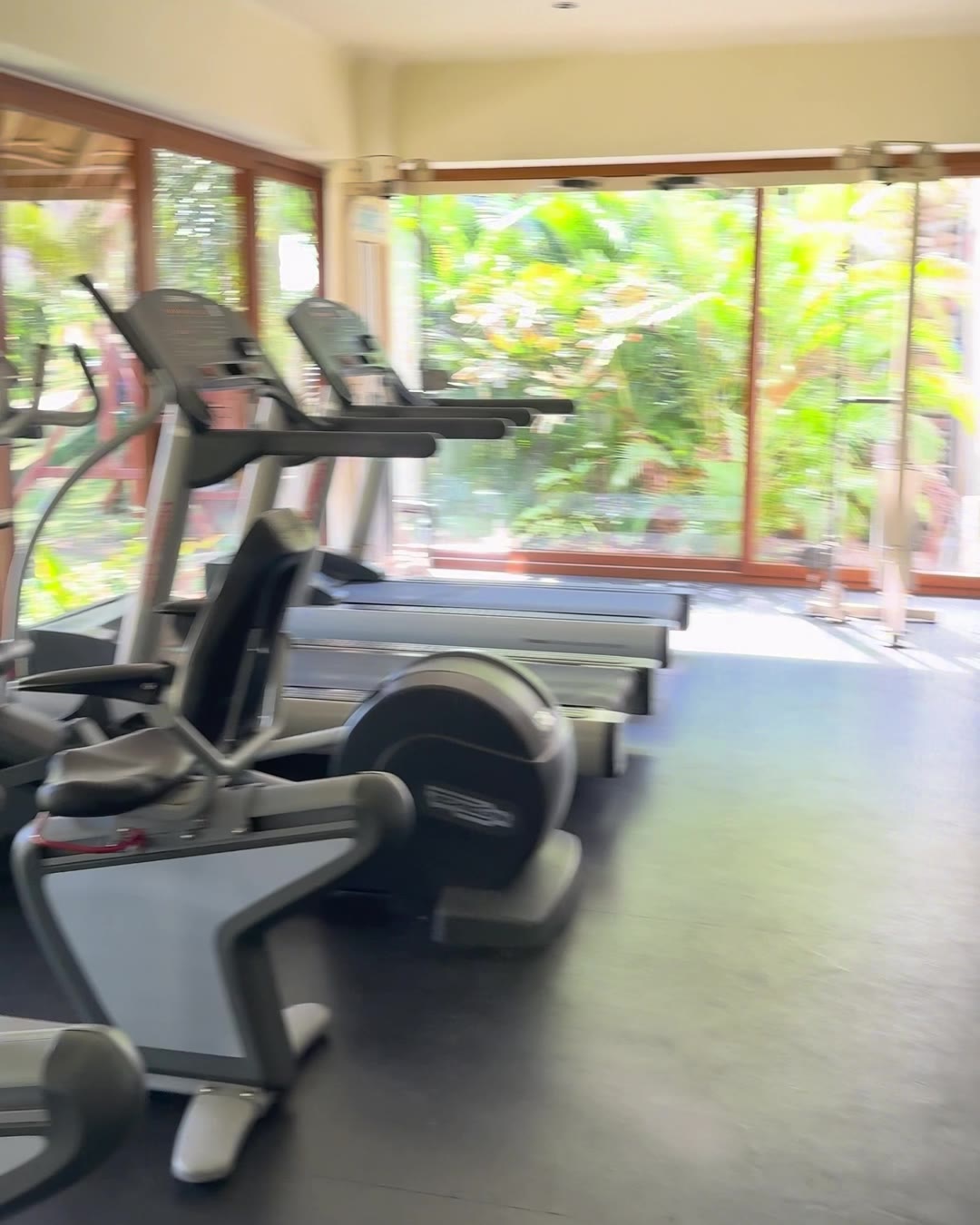 The fitness center at Punta Esmeralda with cardio machines facing floor to ceiling windows and gardens